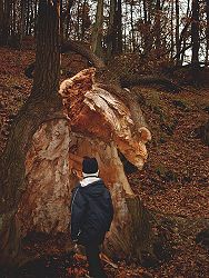 Klick mich und ich werde gross...