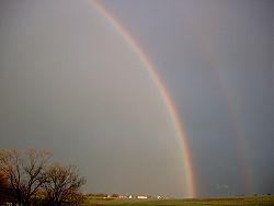 Klick mich und ich werde gross...