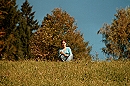 Blumenwiese
