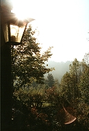 Laterne