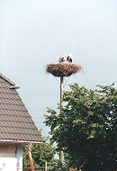 "Am Storchennest"
